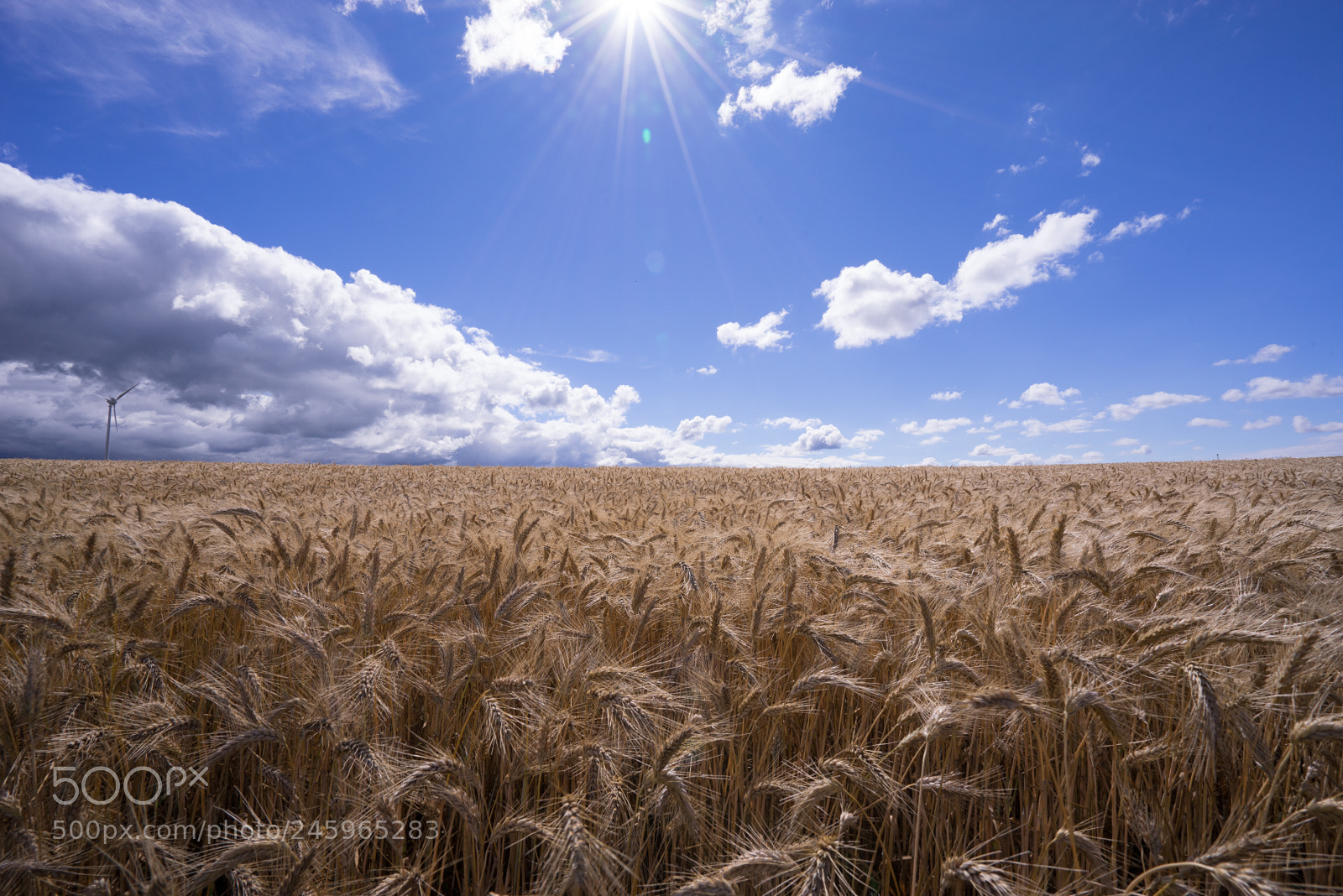 Sony a7R sample photo. Saxony photography