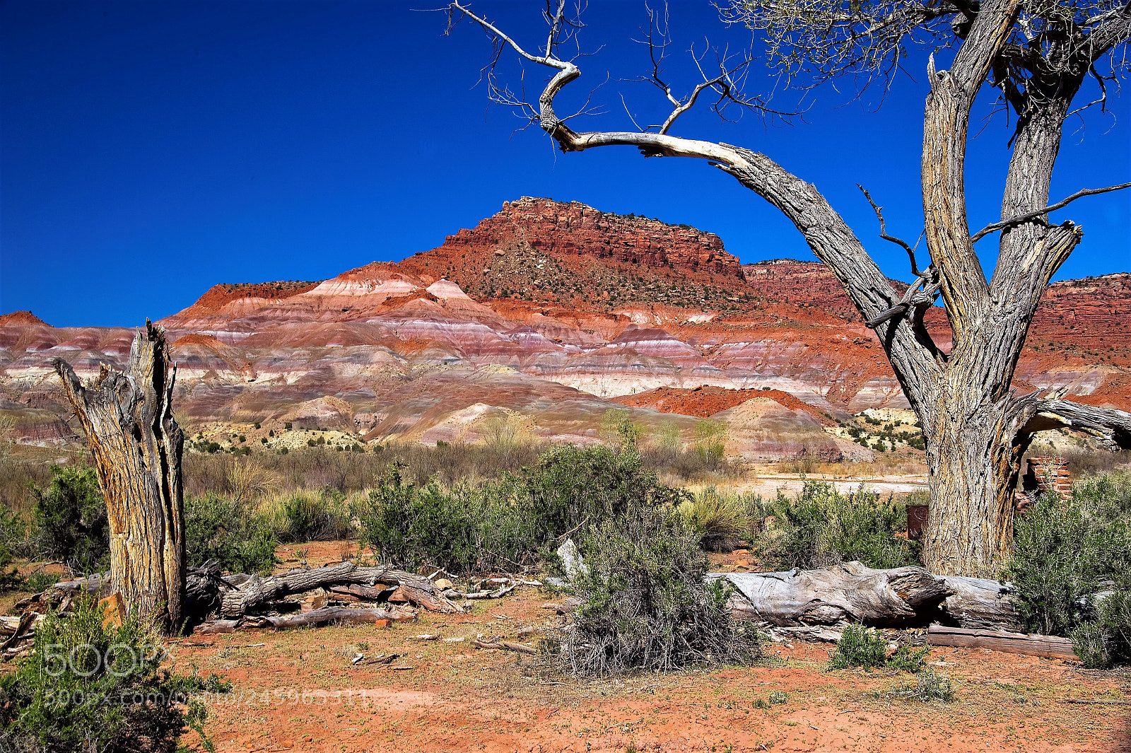 Nikon D700 sample photo. Paria river valley (utah) photography