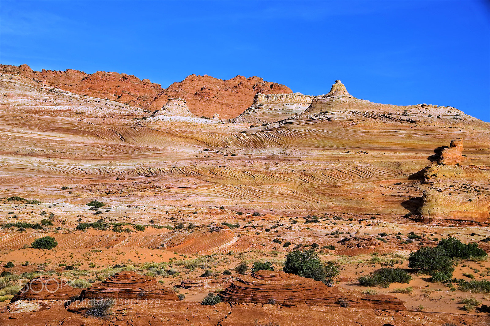 Nikon D700 sample photo. Coyote buttes photography