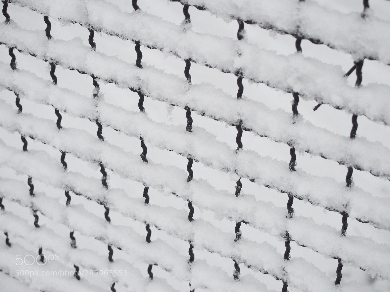 Olympus PEN E-PM2 sample photo. Snow on a fence photography