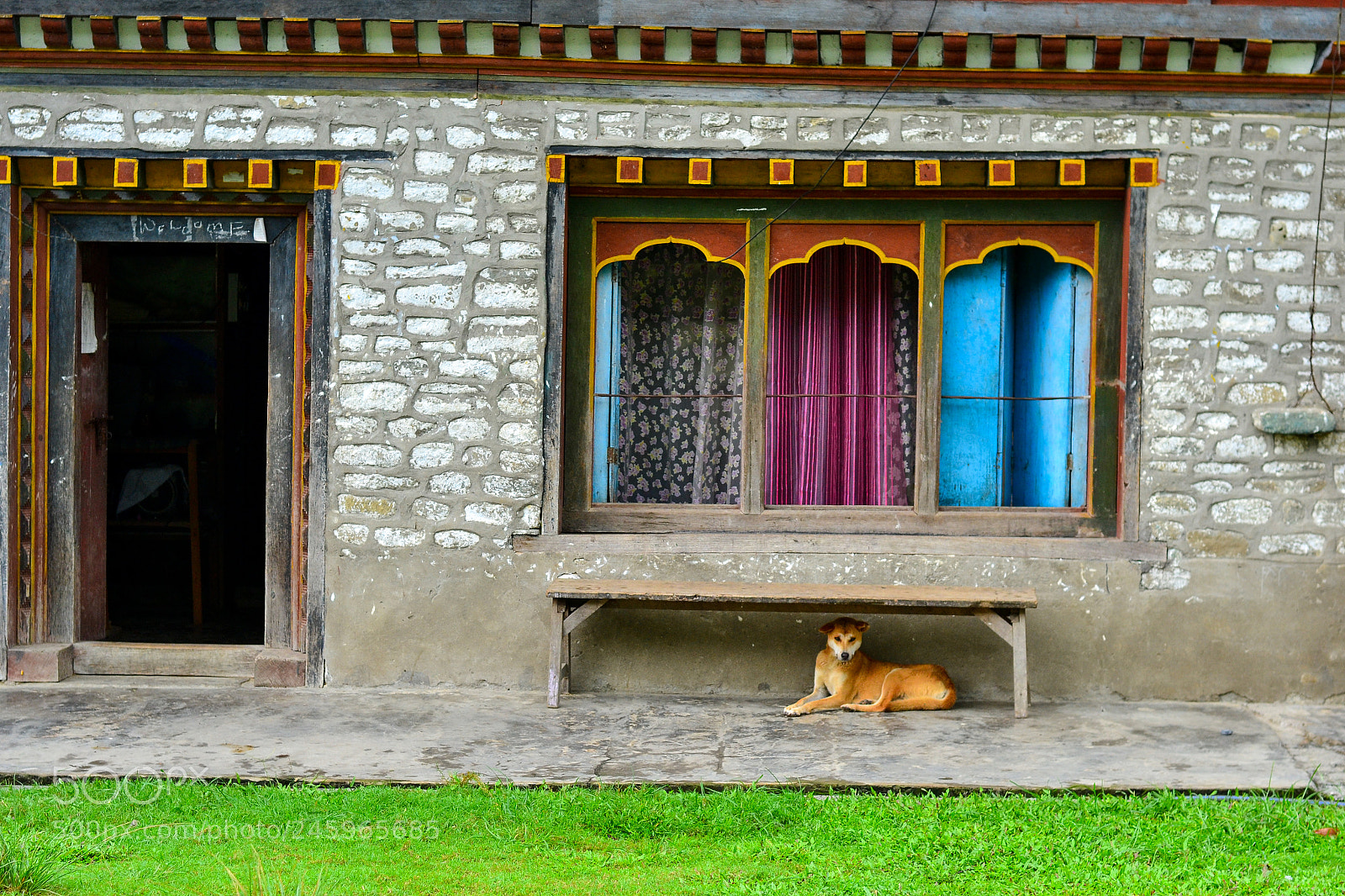 Nikon D3100 sample photo. Shelter photography