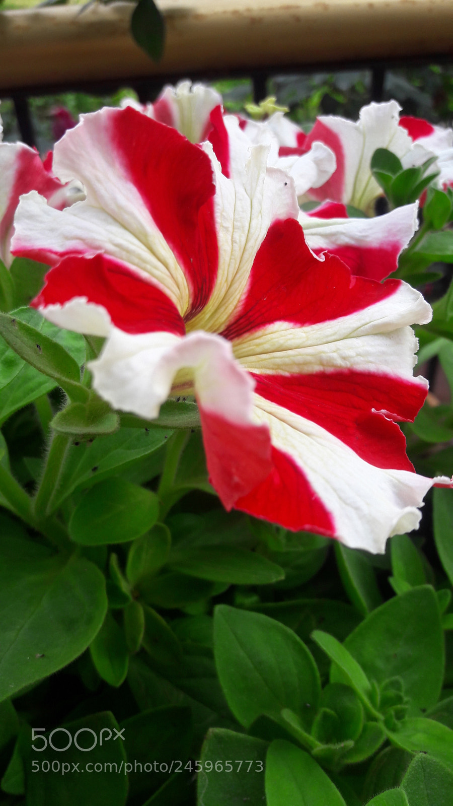 Samsung Galaxy J7 sample photo. Untitled photography