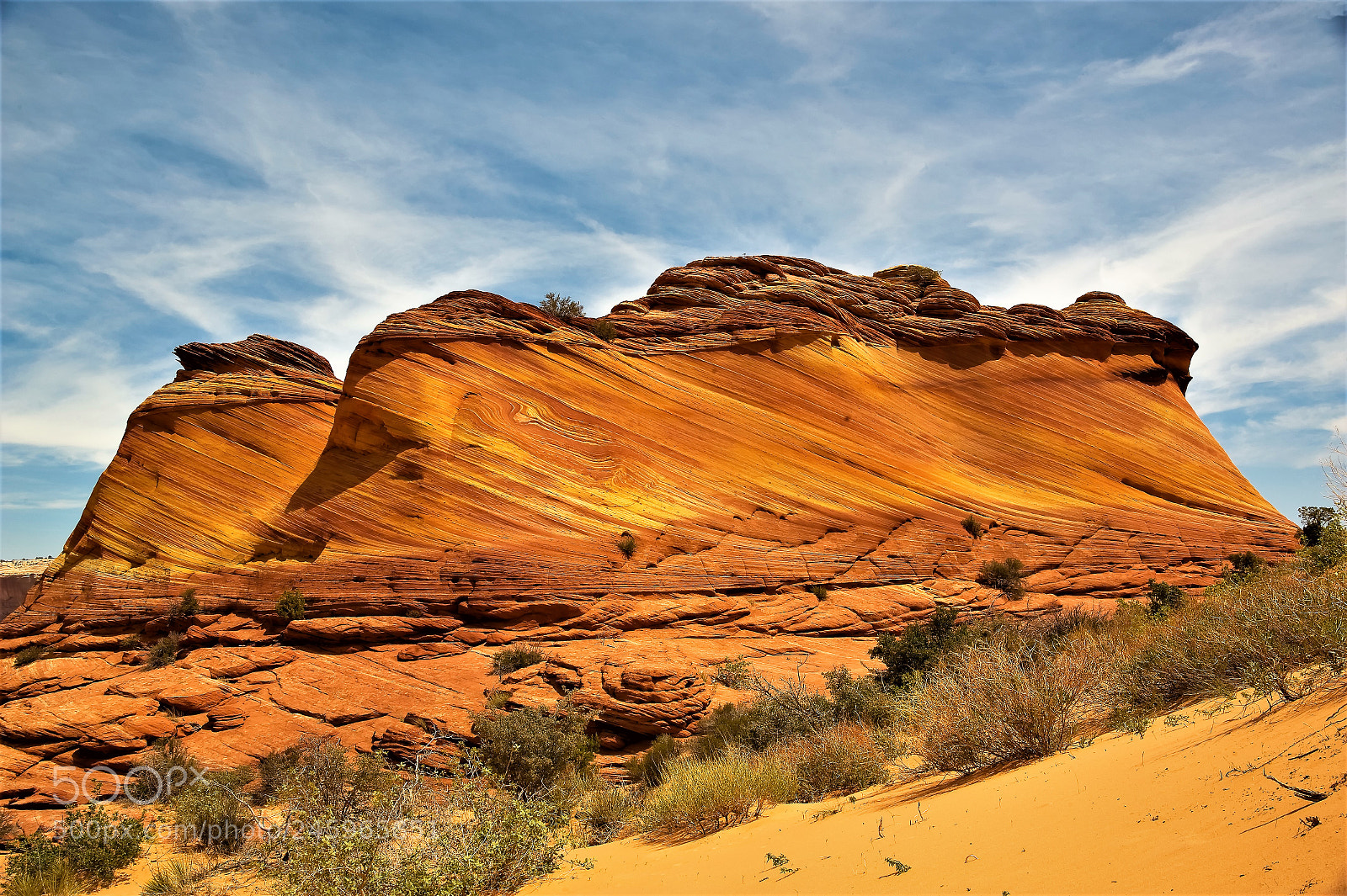 Nikon D700 sample photo. The wave photography