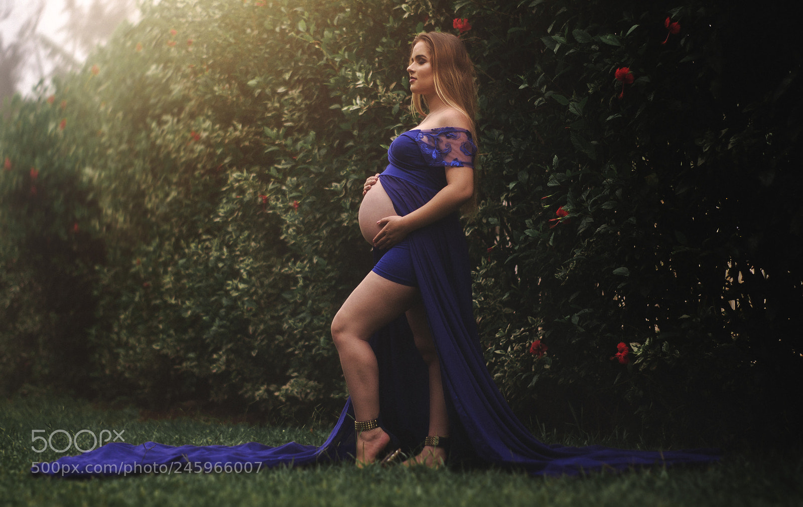 Nikon D5100 sample photo. Untitled photography