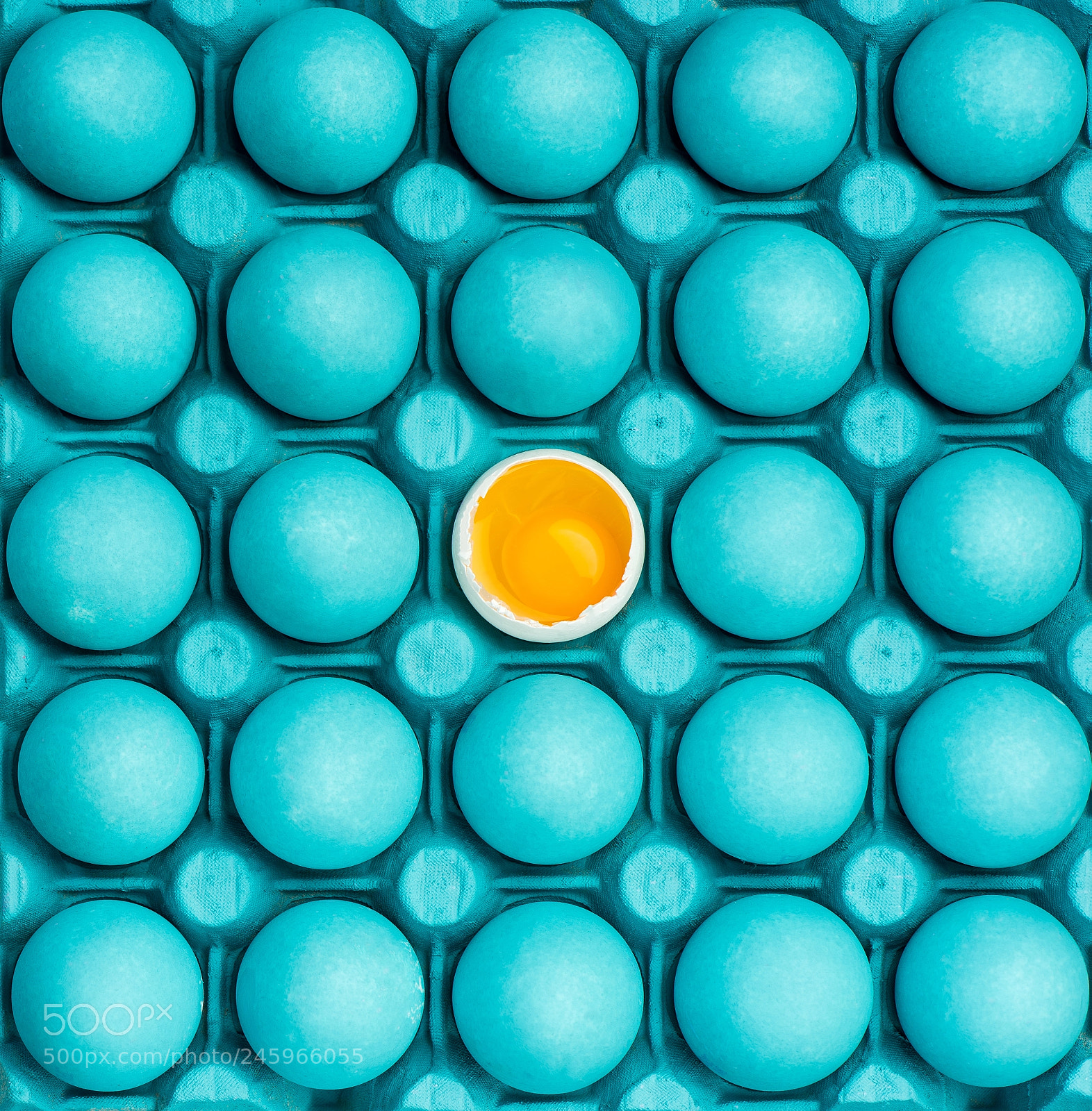 Nikon D810 sample photo. Minimal visual art design photography