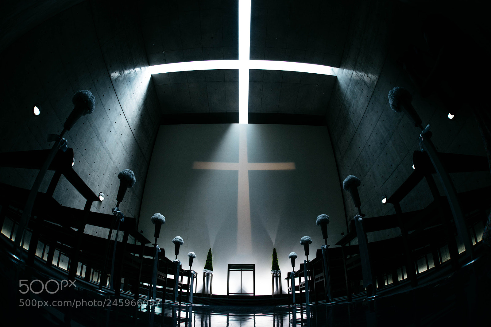 Sony a7 II sample photo. Silent photography