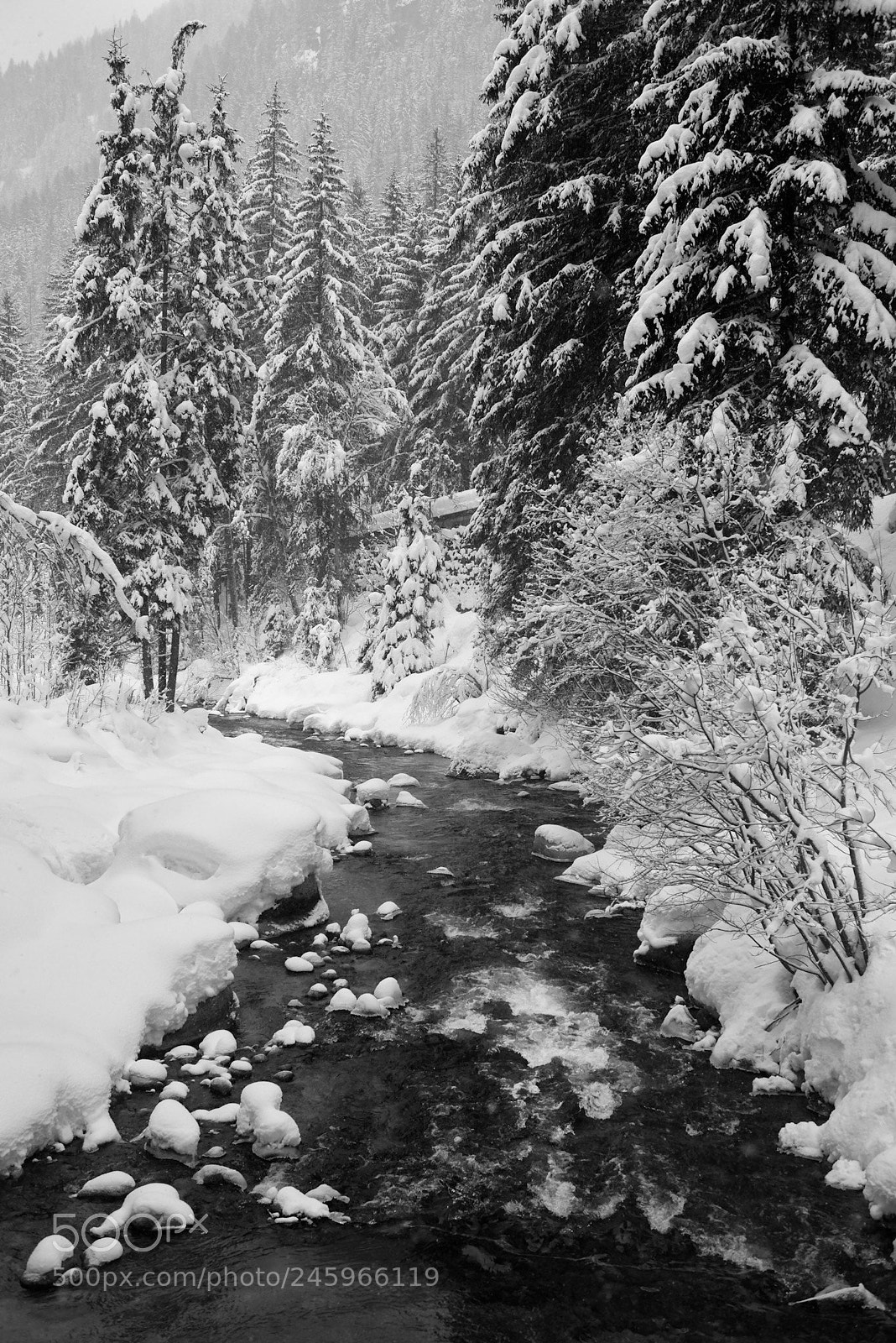 Nikon D800 sample photo. River arve under the photography