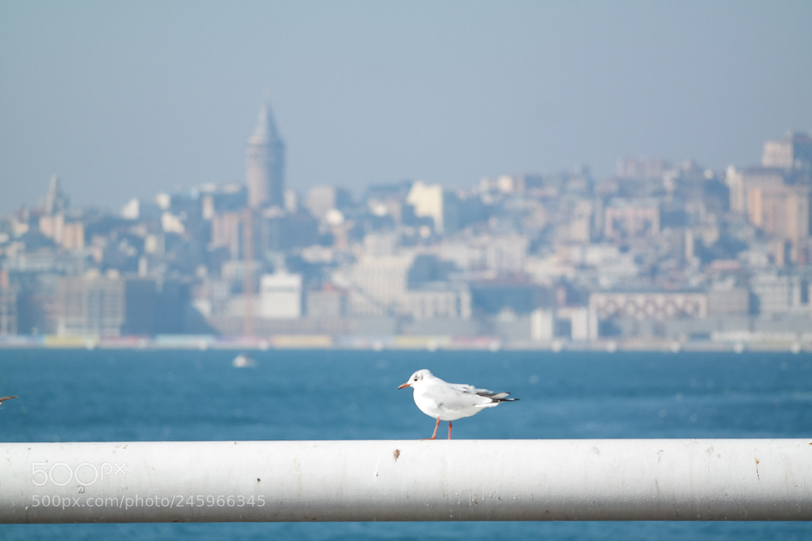 Samsung NX300 sample photo. Istanbul boğazı photography