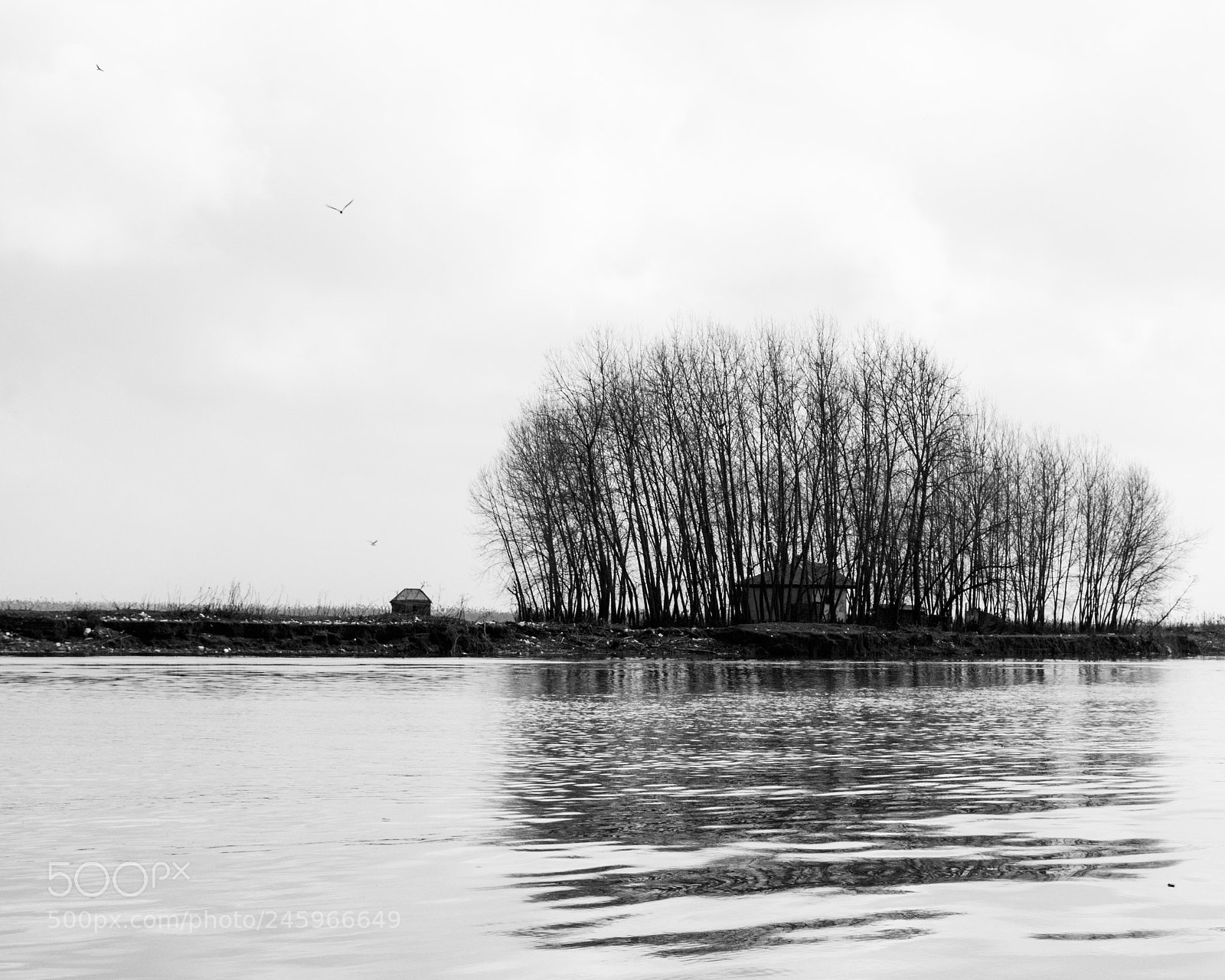 Nikon D7200 sample photo. Lagoon photography