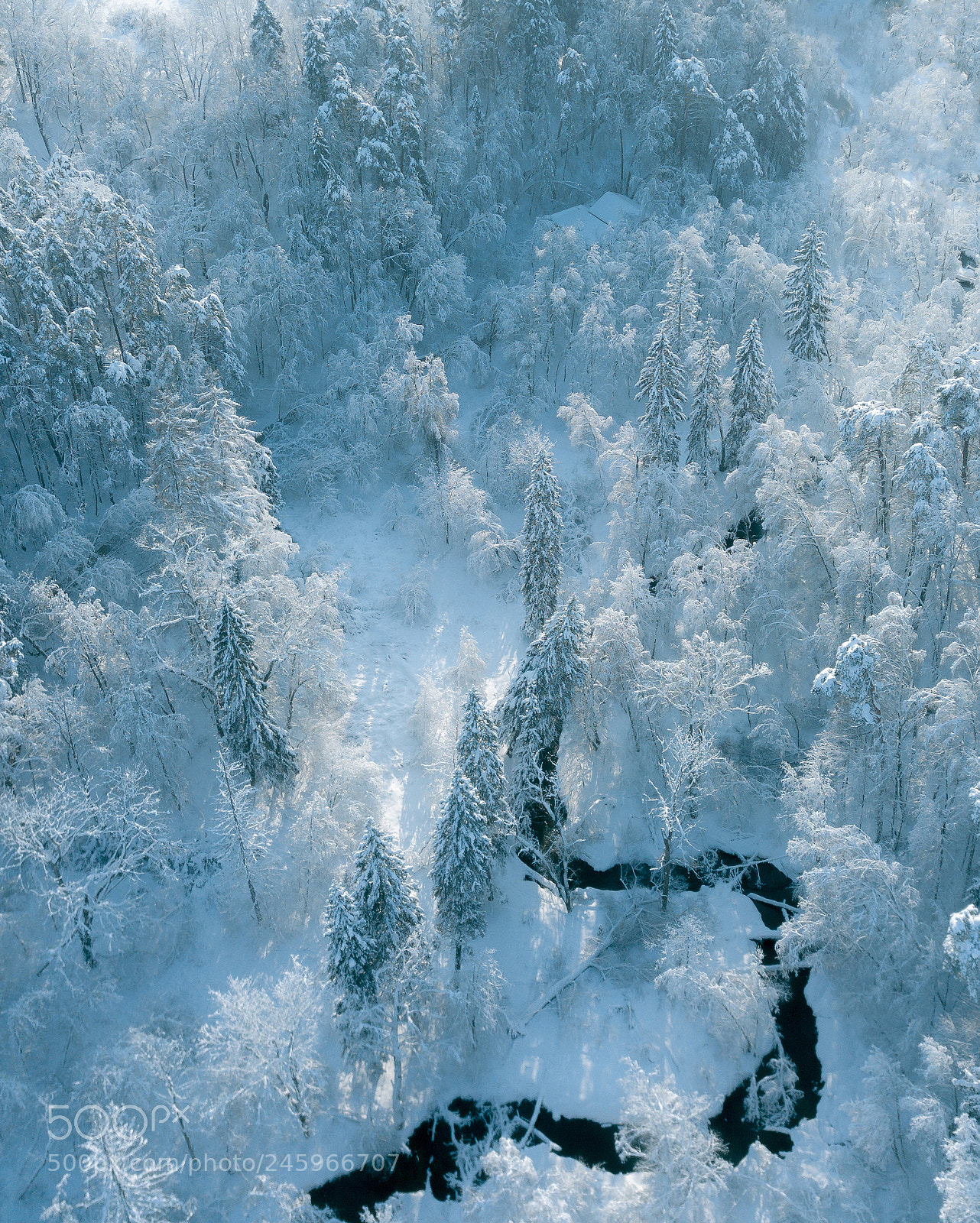 DJI FC220 sample photo. After the snow storm photography
