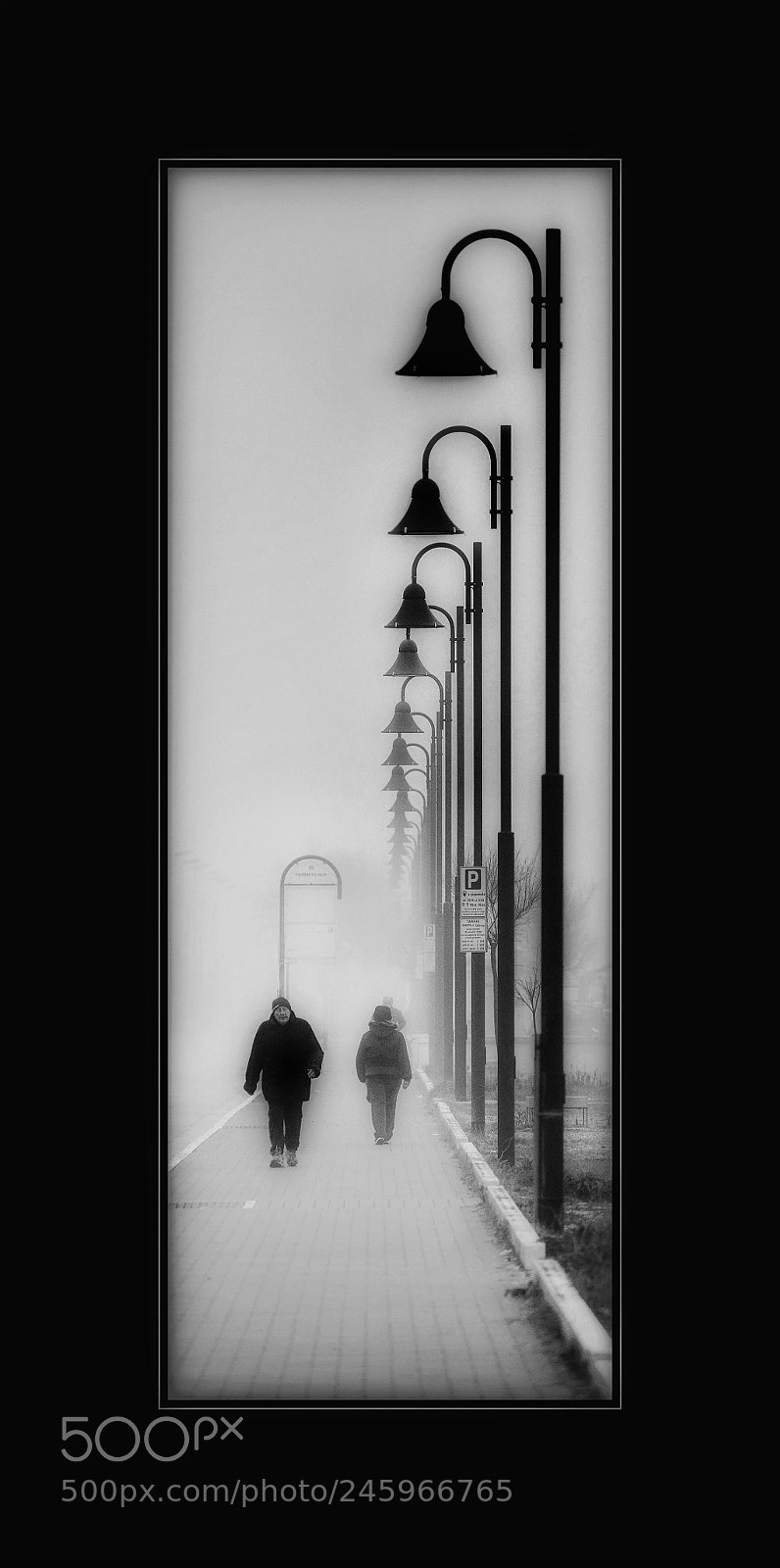 Nikon D800 sample photo. Untitled photography