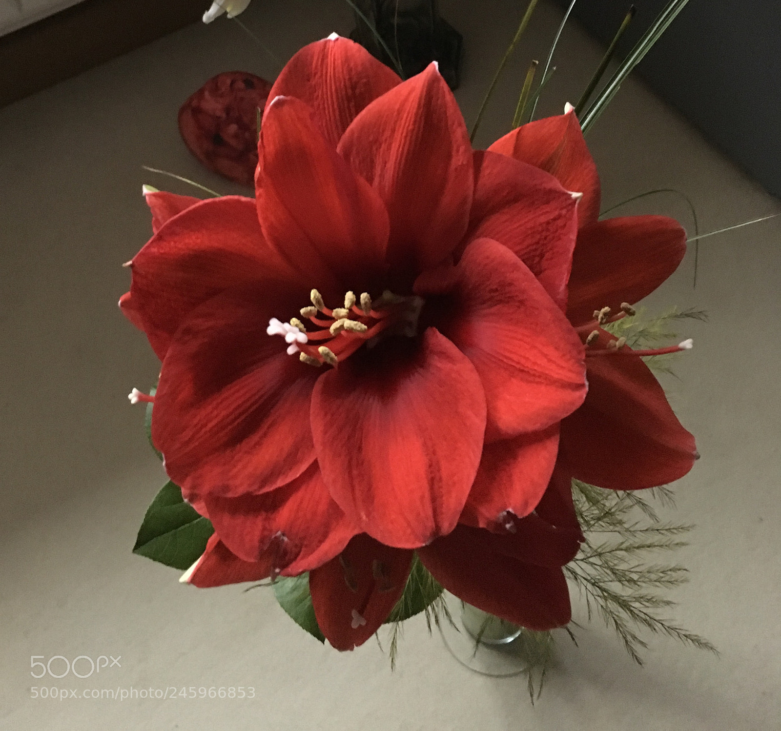 Apple iPhone 6s sample photo. Untitled photography