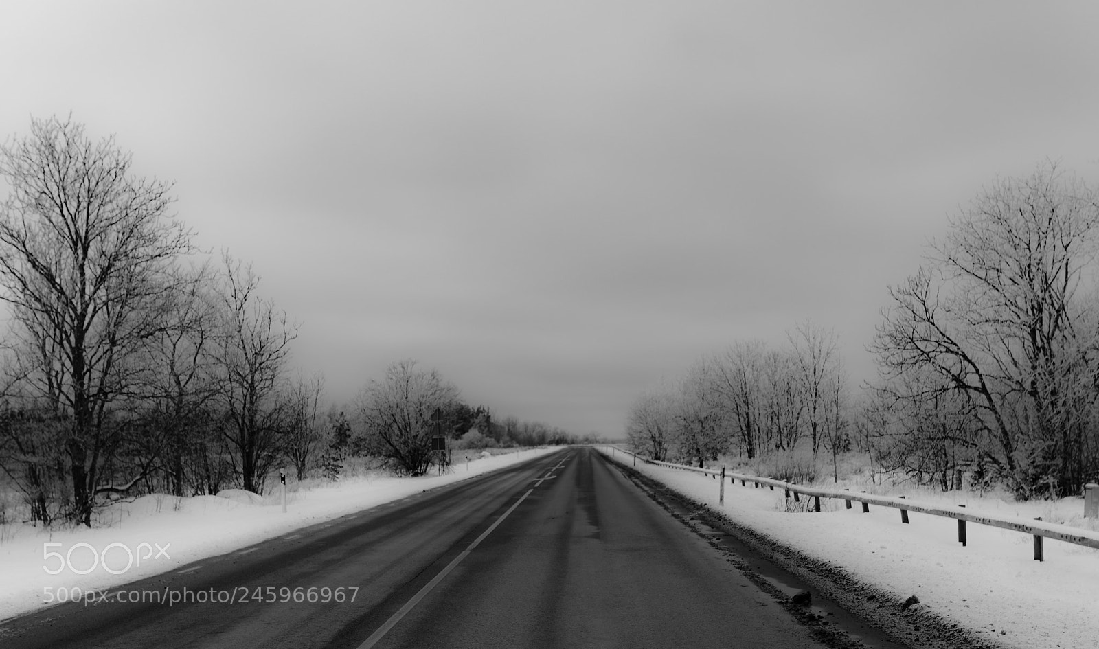 Nikon D850 sample photo. Road to north photography