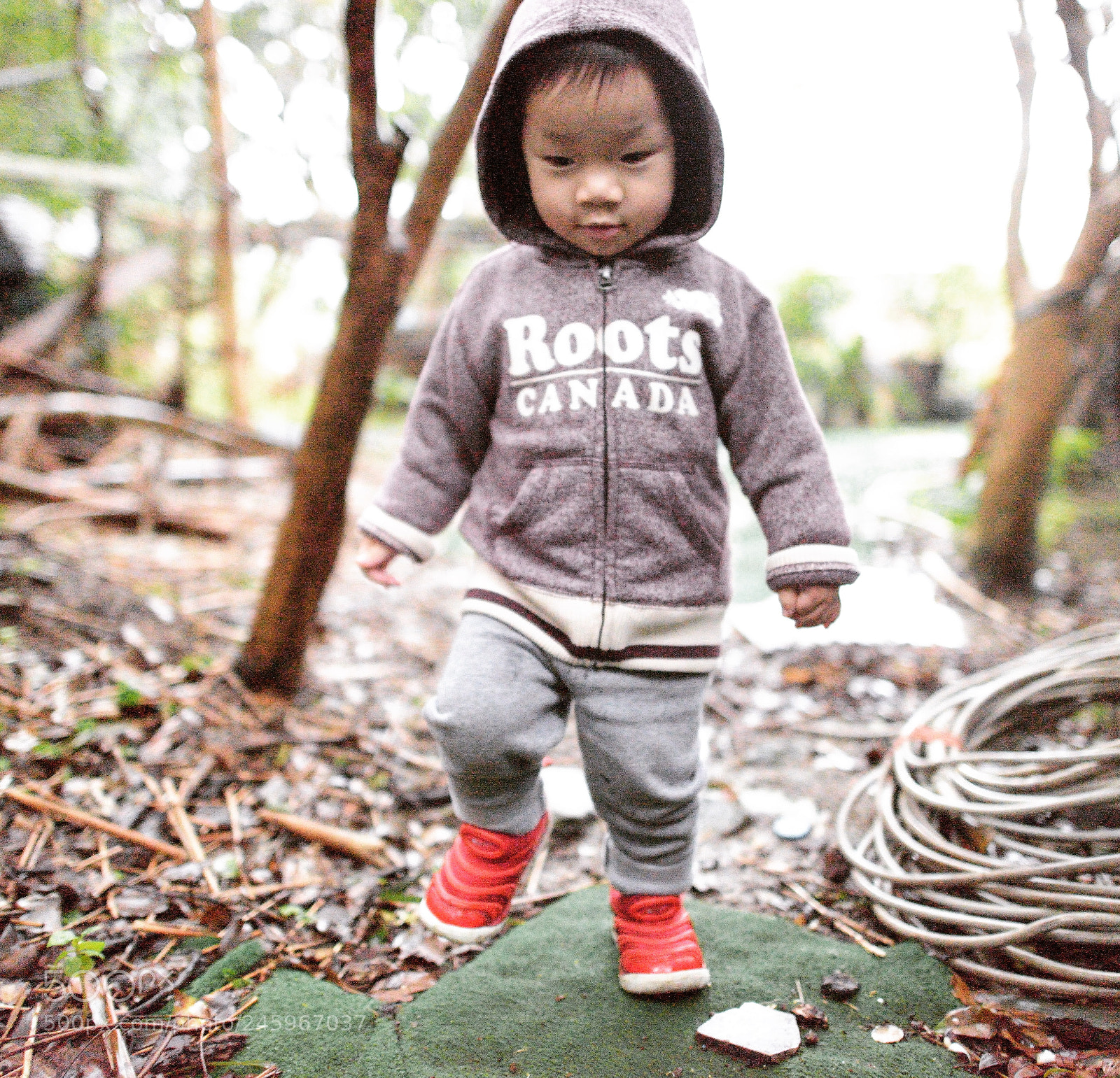 Nikon D800 sample photo. Untitled photography