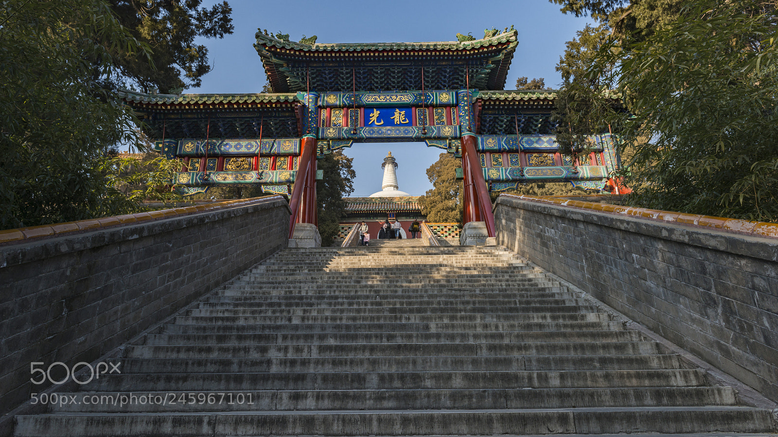 Nikon D800 sample photo. Untitled photography