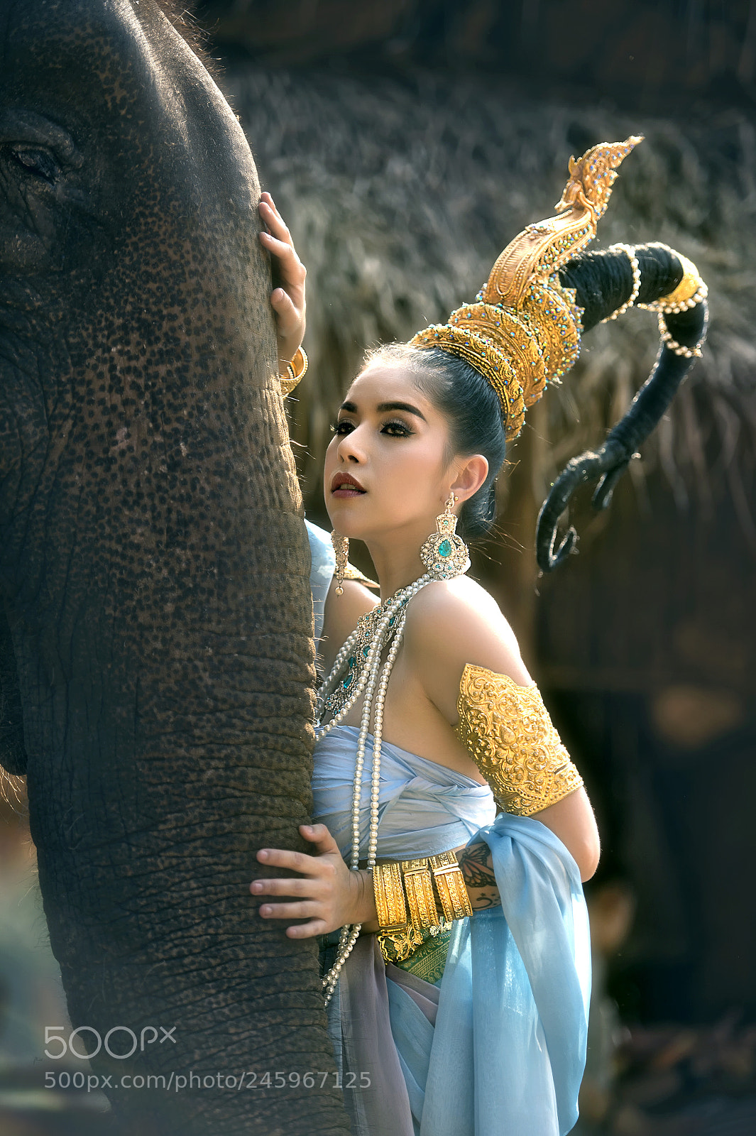 Nikon D4S sample photo. Beautiful woman and elephant photography
