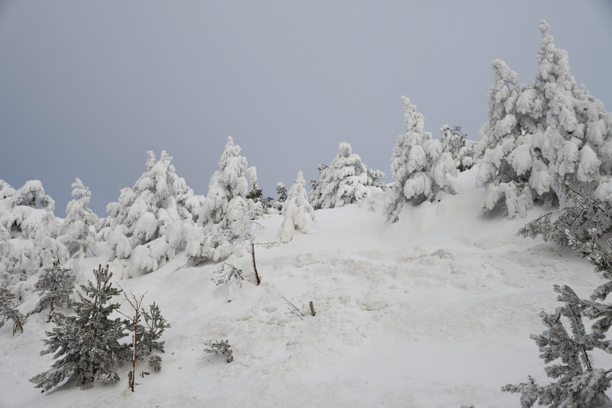 Nikon D7500 sample photo. Navacerrada 2 photography