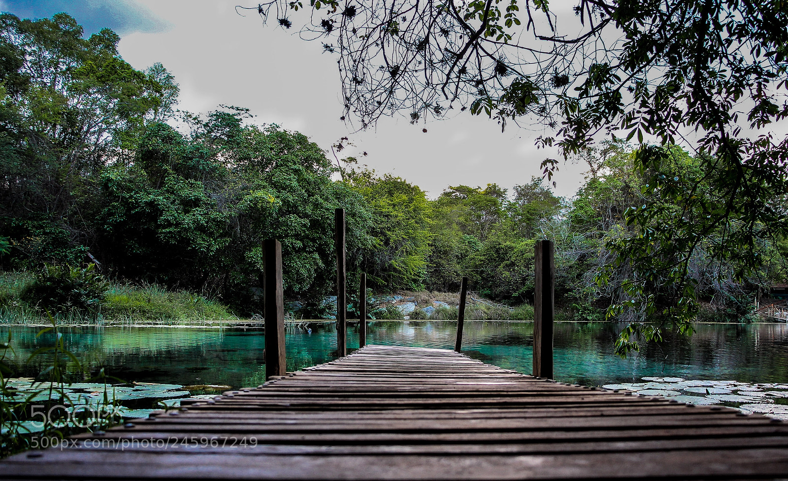 Canon EOS 60D sample photo. Untitled photography