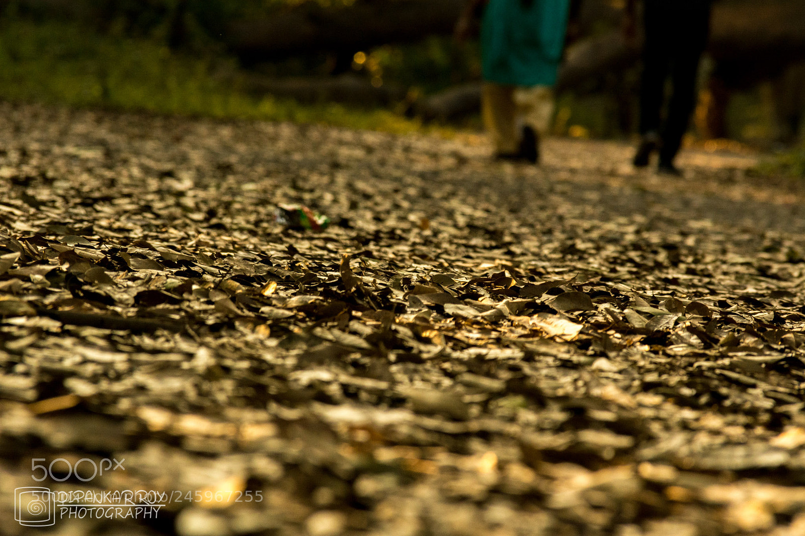 Nikon D5200 sample photo. Leaving trails photography