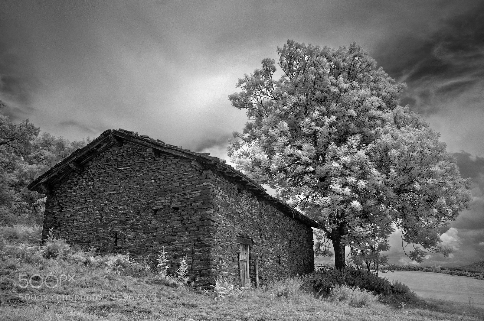 Pentax K10D sample photo. Oskotz (version b&w) photography