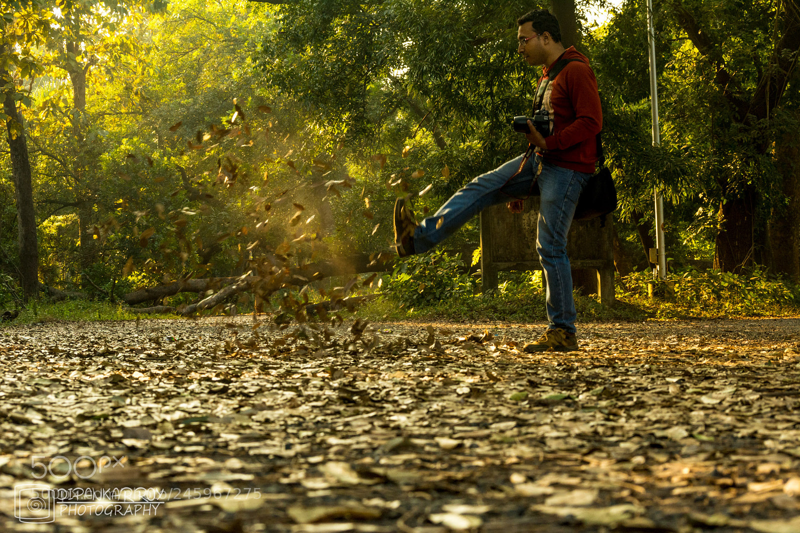 Nikon D5200 sample photo. Being little photography
