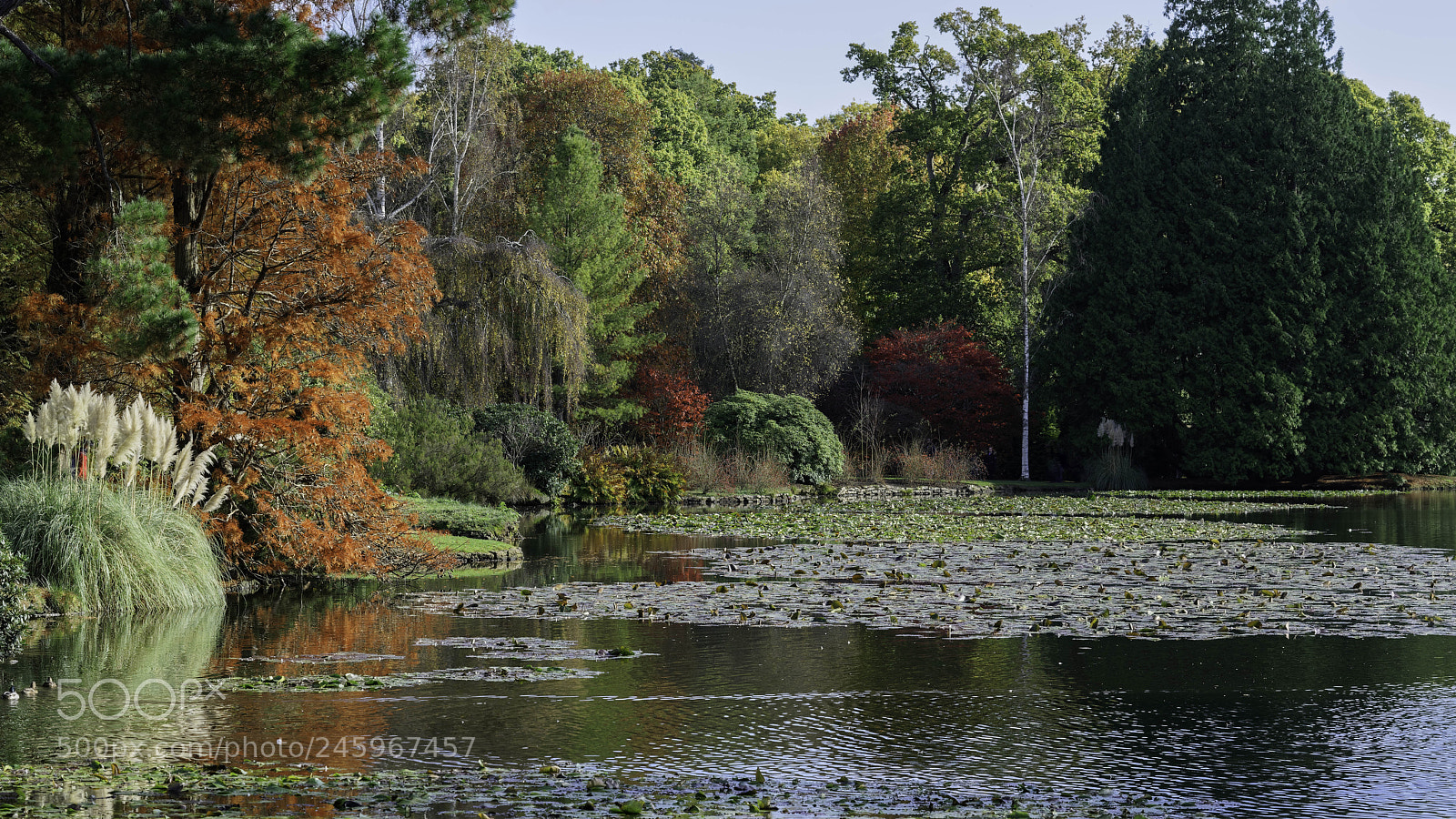 Sony a7R II sample photo. View of sheffield park photography