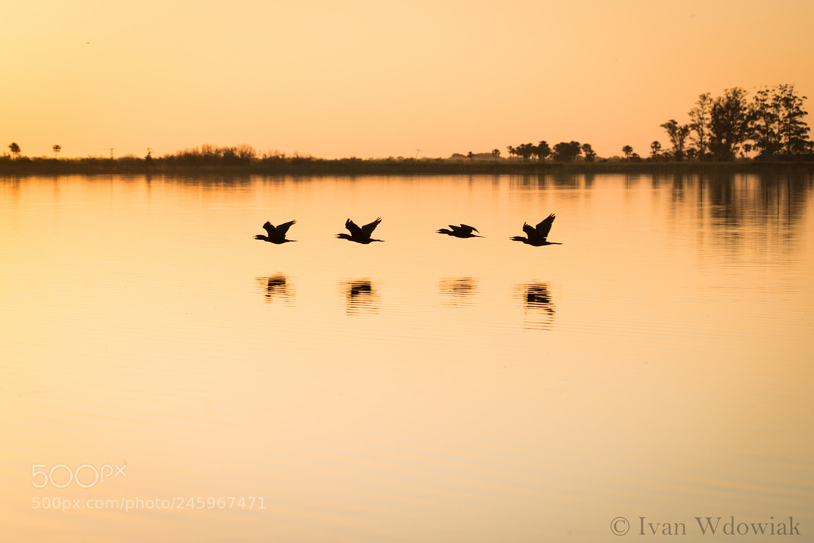 Nikon D800 sample photo. Black&orange photography