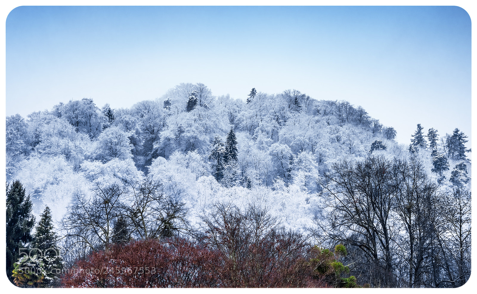 Nikon D7200 sample photo. Early waking up 2 photography