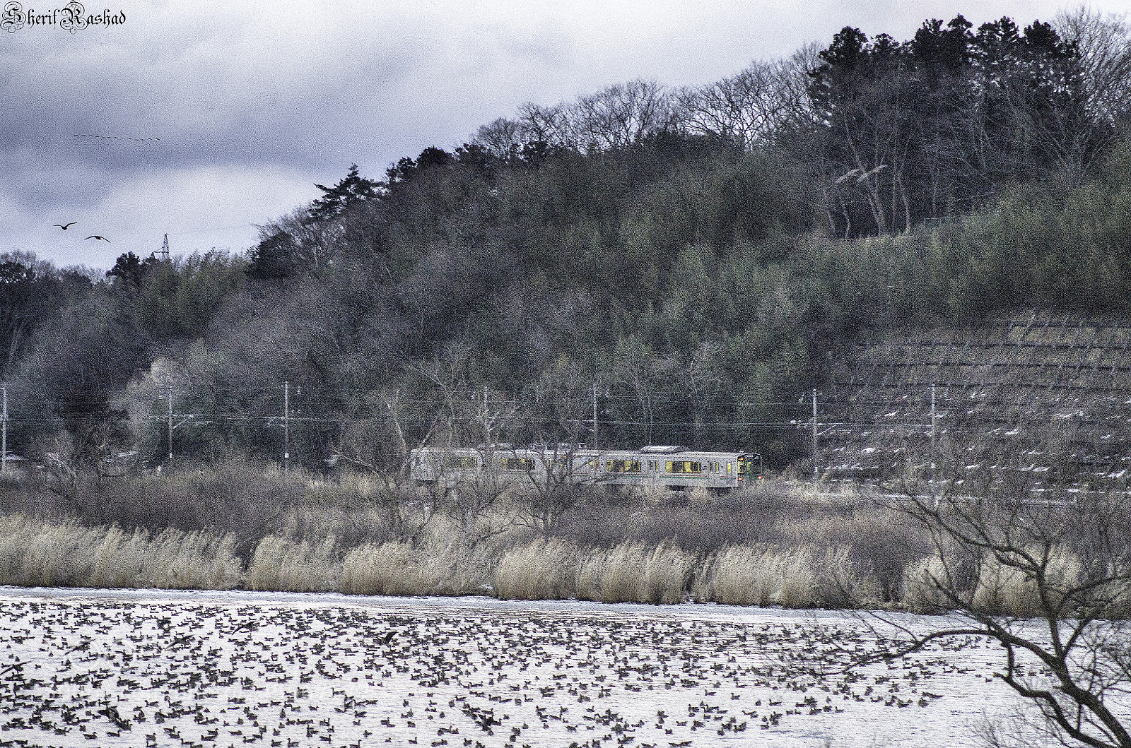 Pentax K-50 sample photo. Rural japan photography