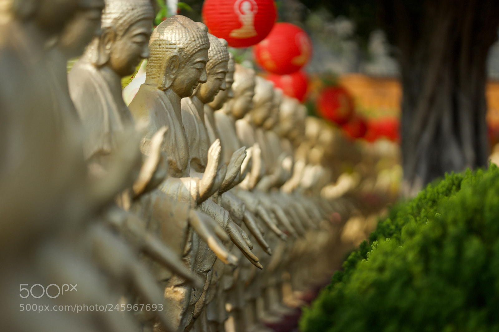 Sony a7 sample photo. Surrounded by buddha photography