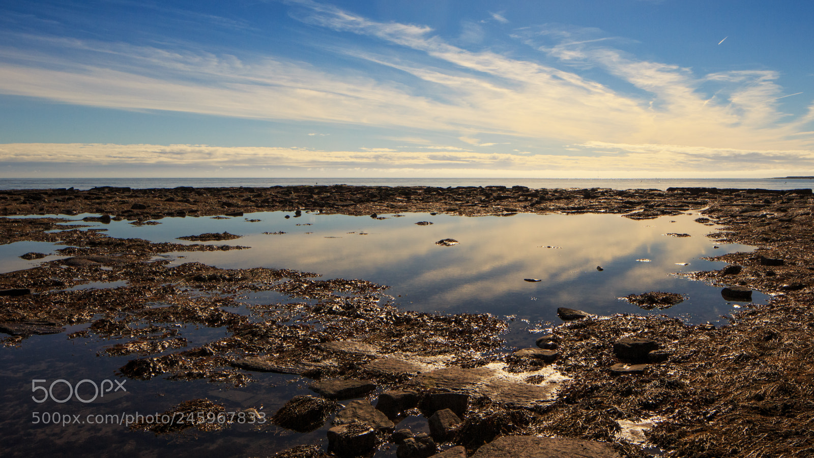 Canon EOS-1D X sample photo. Cresswell beach photography
