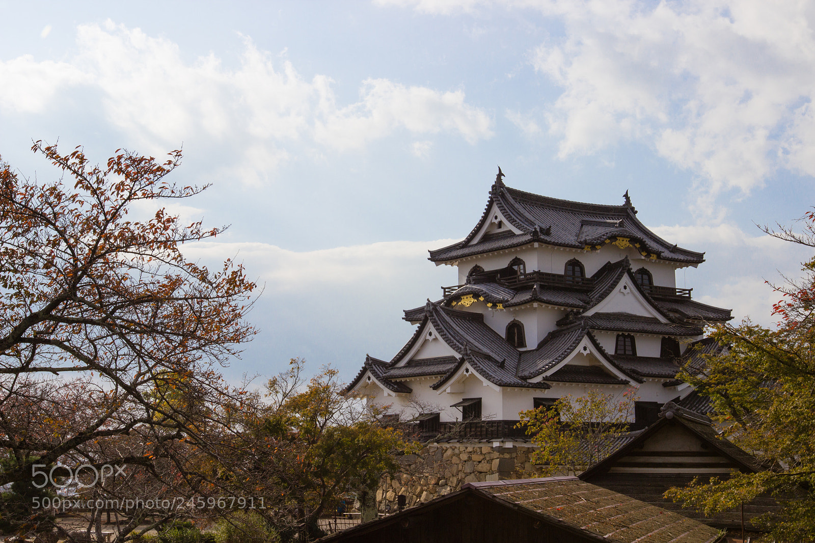 Canon EOS 600D (Rebel EOS T3i / EOS Kiss X5) sample photo. Hikone-jo photography