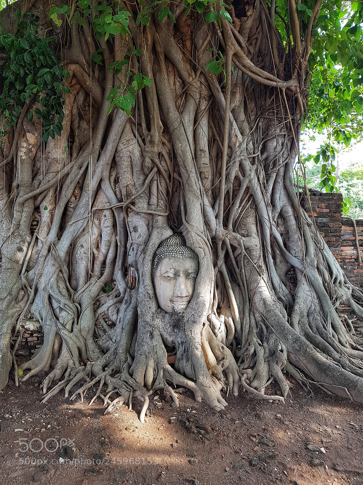 Samsung Galaxy S7 Edge sample photo. Buddha head photography