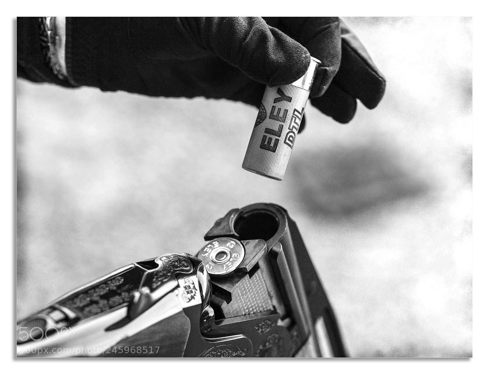 Hasselblad X1D-50c sample photo. Eley 12 photography