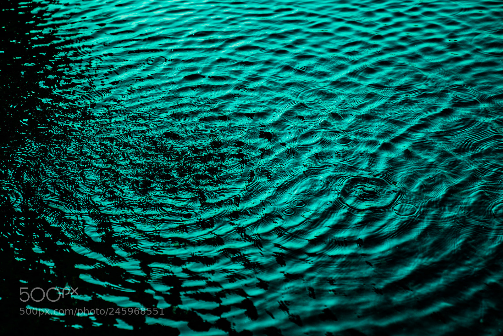 Sony a7R II sample photo. The ripple photography