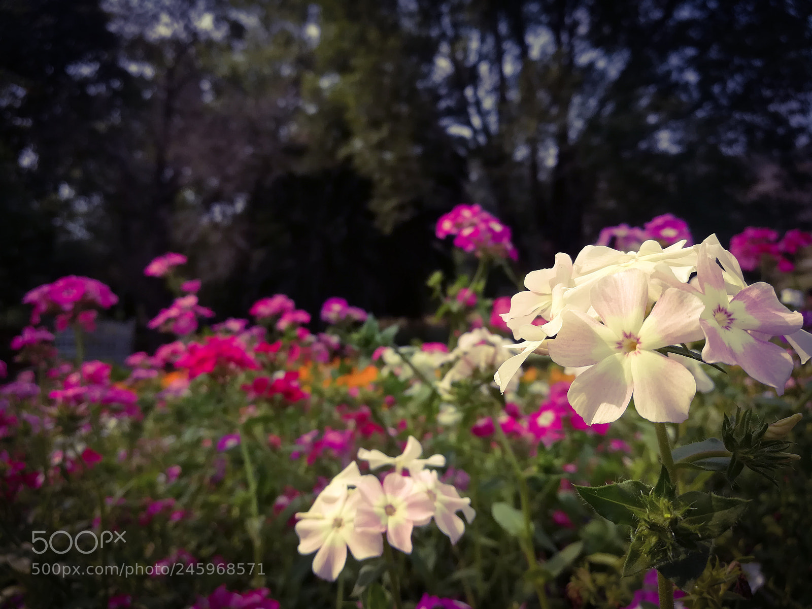 HUAWEI GR5 2017 sample photo. Untitled photography