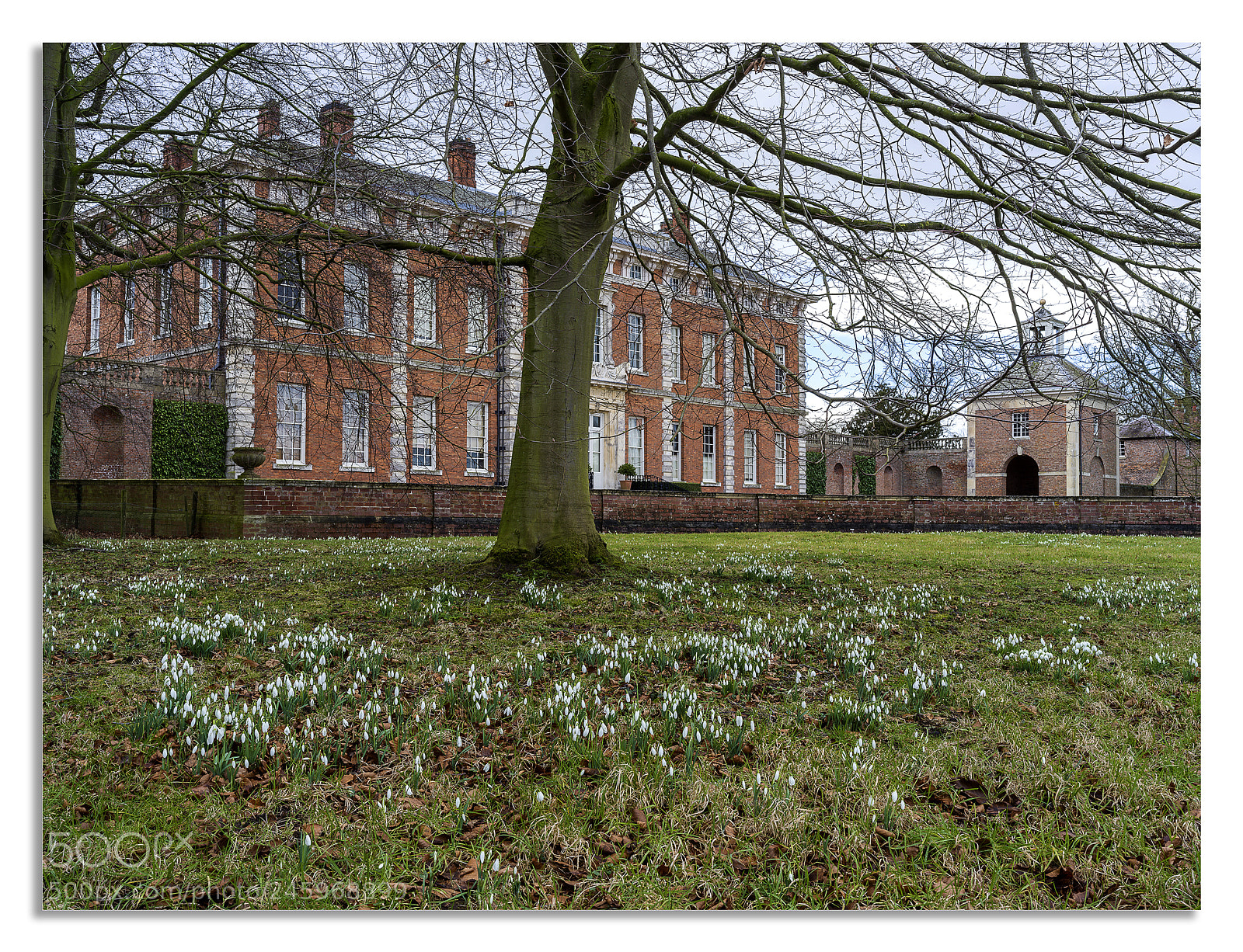 Hasselblad X1D-50c sample photo. Snow drops and house photography