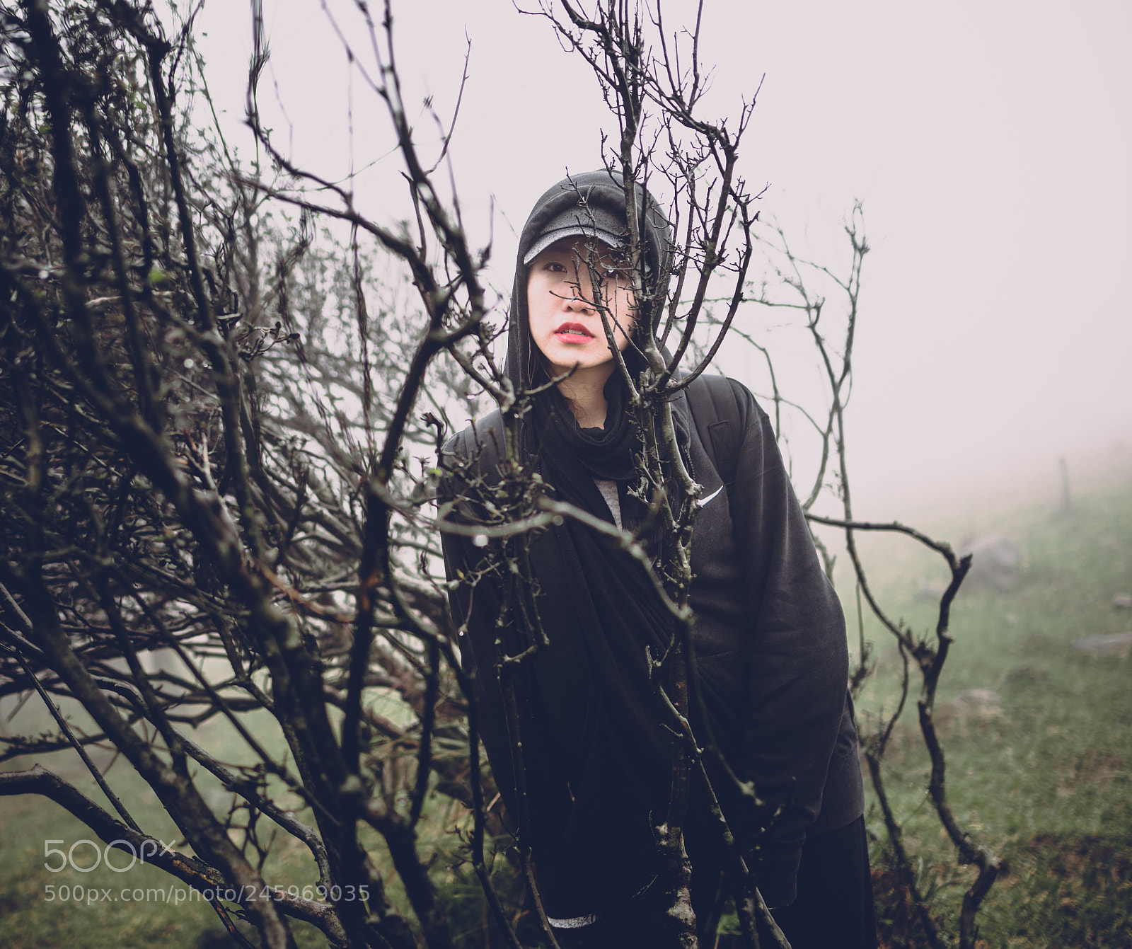 Nikon D610 sample photo. Lost in the fog photography