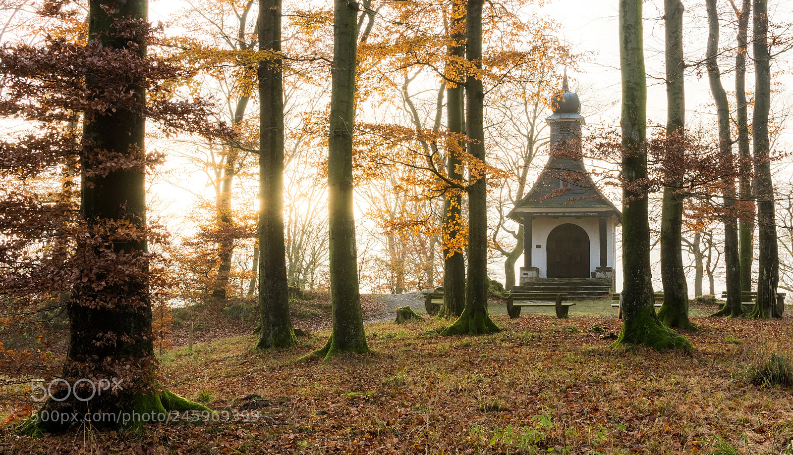 Canon EOS 700D (EOS Rebel T5i / EOS Kiss X7i) sample photo. Borbergs kirchhof photography