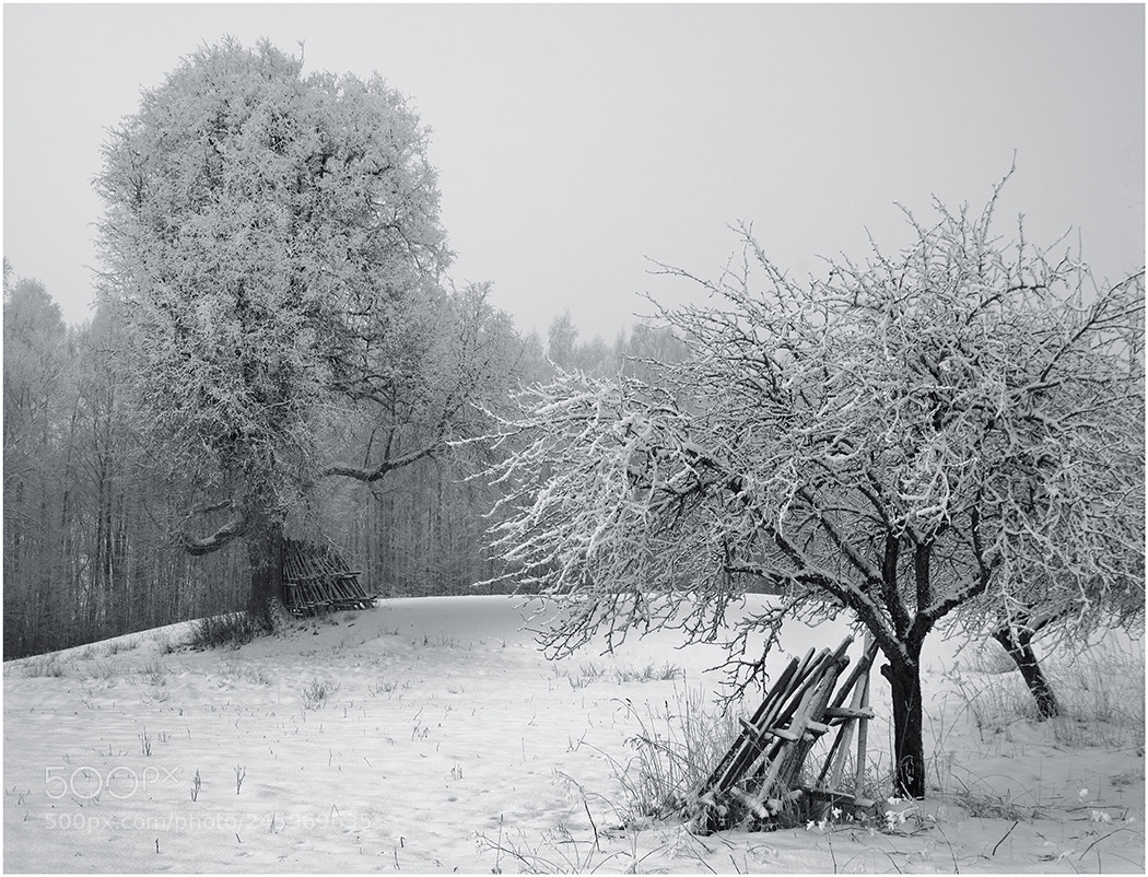 Pentax K-5 II sample photo. Winter composition photography