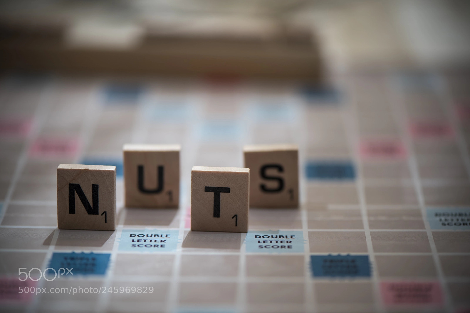 Nikon D810 sample photo. Nuts (nuts!) photography