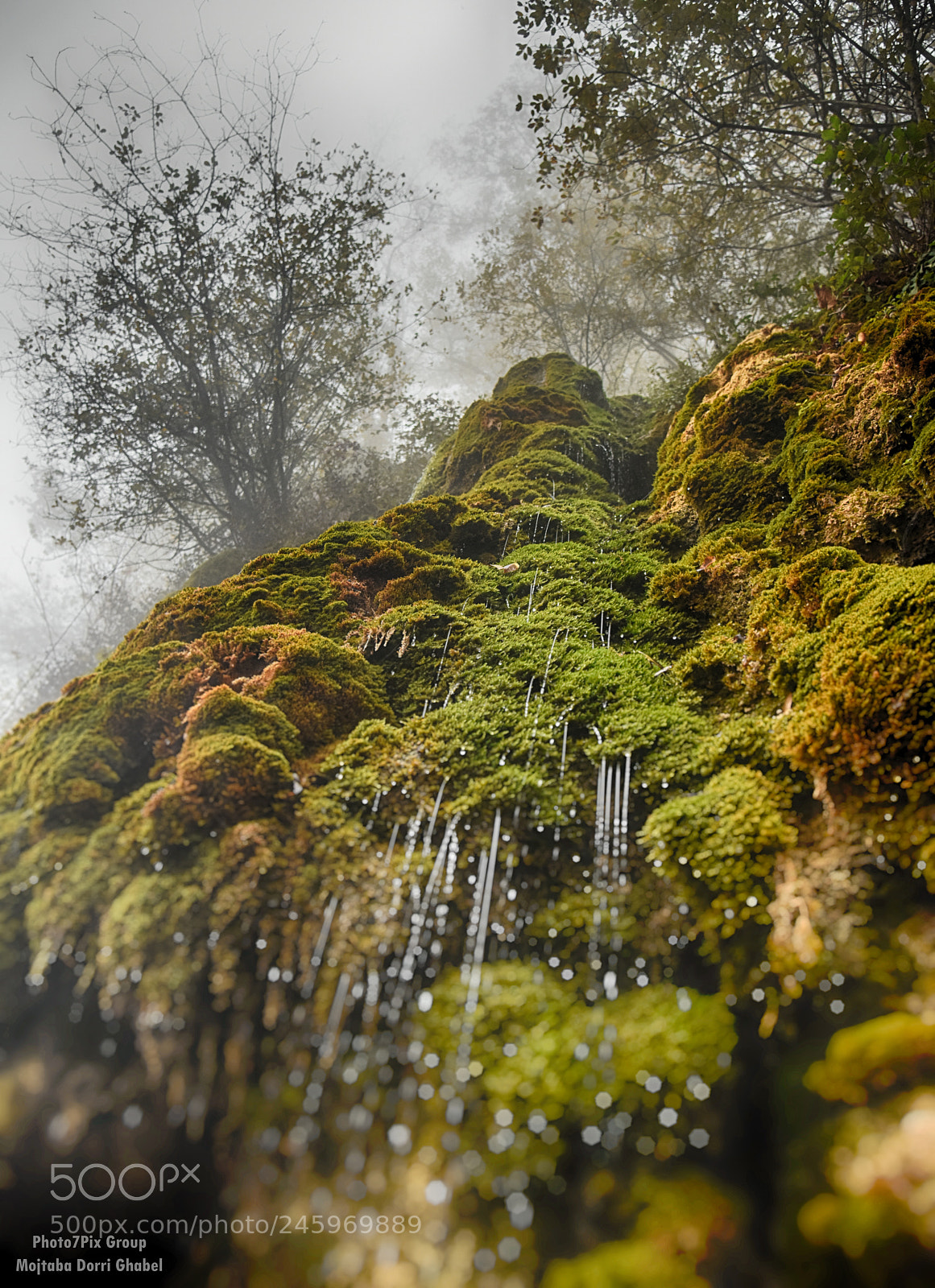Nikon D810 sample photo. Lovely waterfall photography