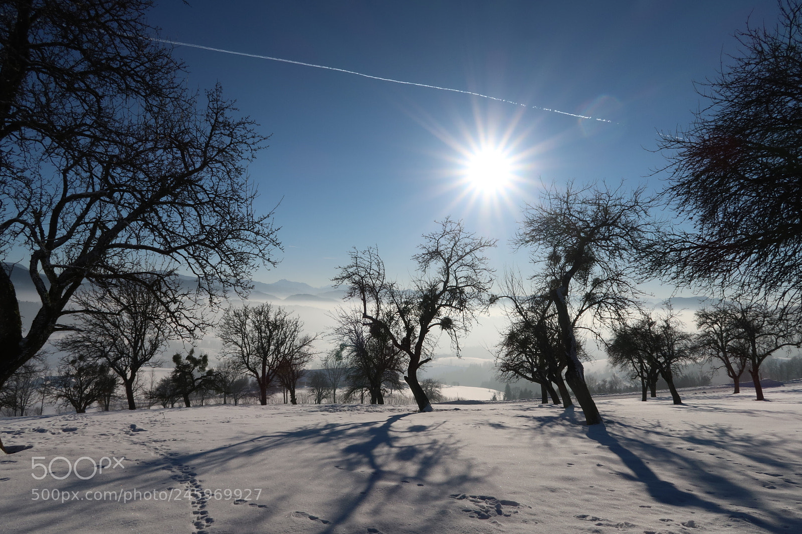 Canon PowerShot G7 X Mark II sample photo. Winterwonderland photography