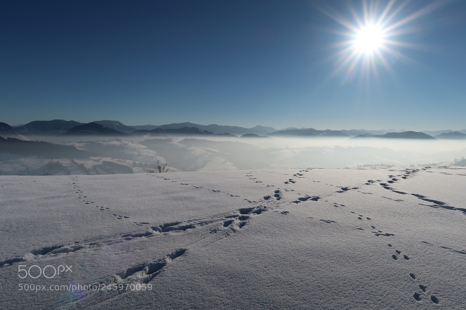 Canon PowerShot G7 X Mark II sample photo. Winterwonderland photography