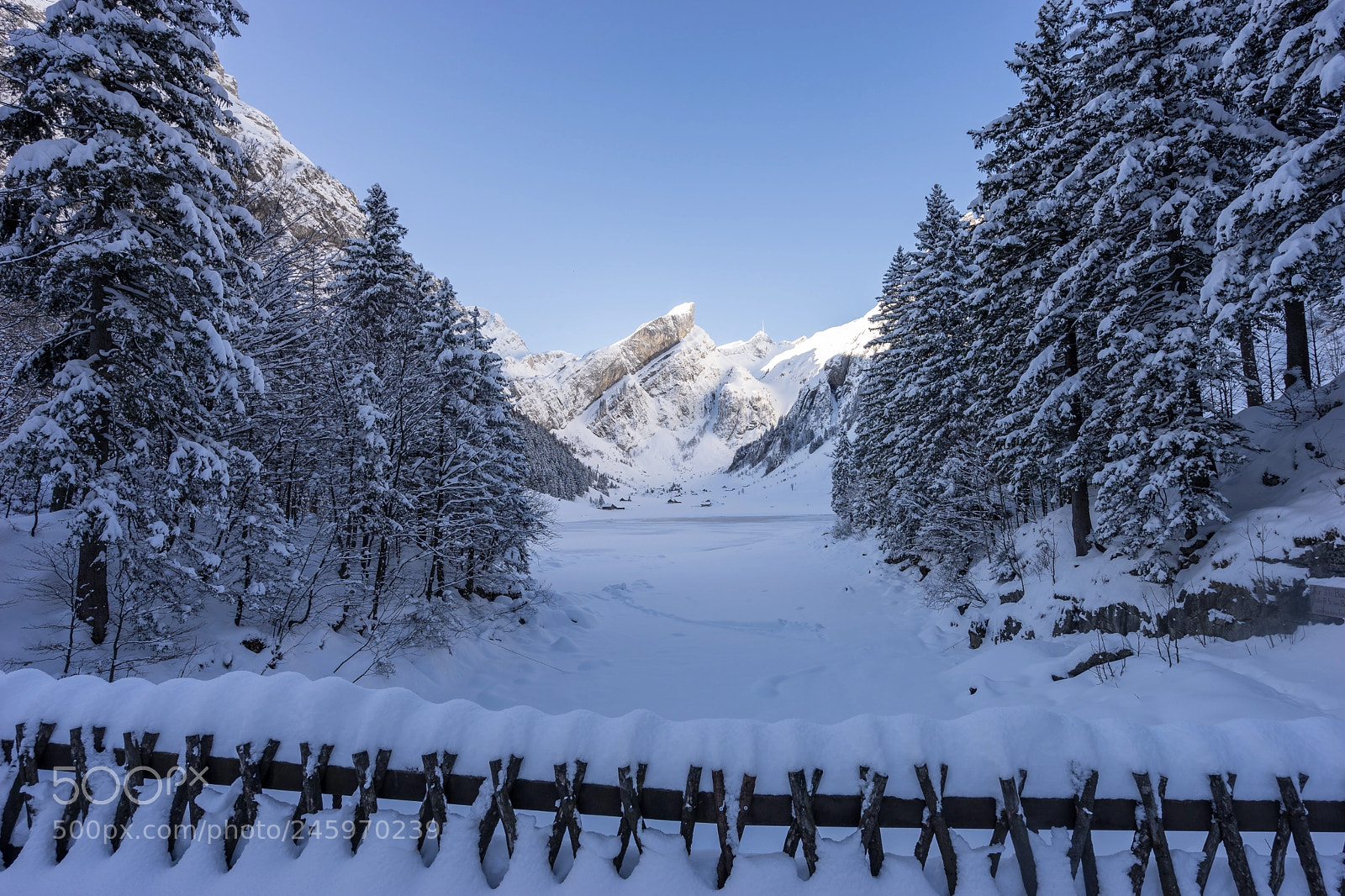 Sony a7 sample photo. View to säntis photography
