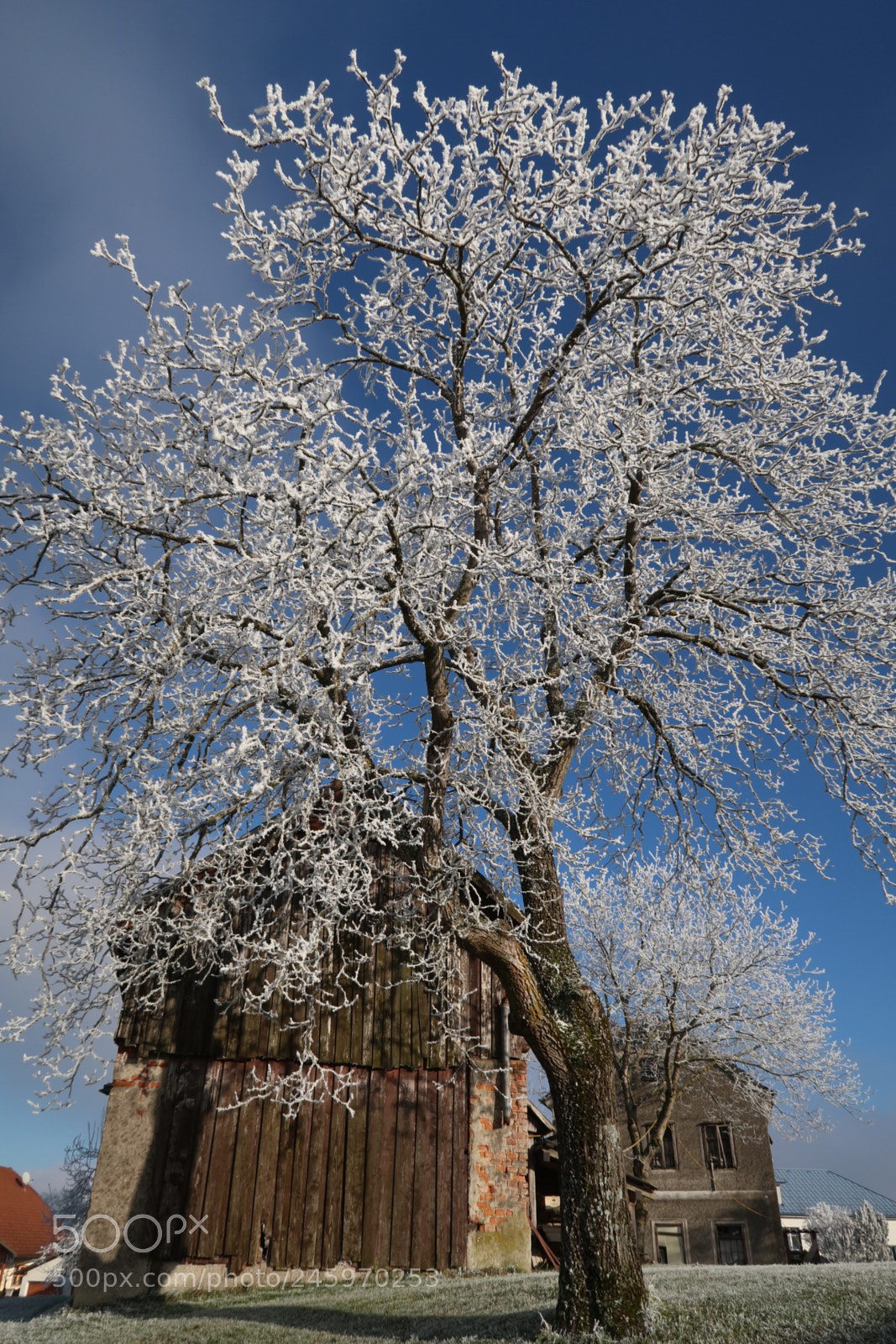 Canon PowerShot G7 X Mark II sample photo. Icetree photography