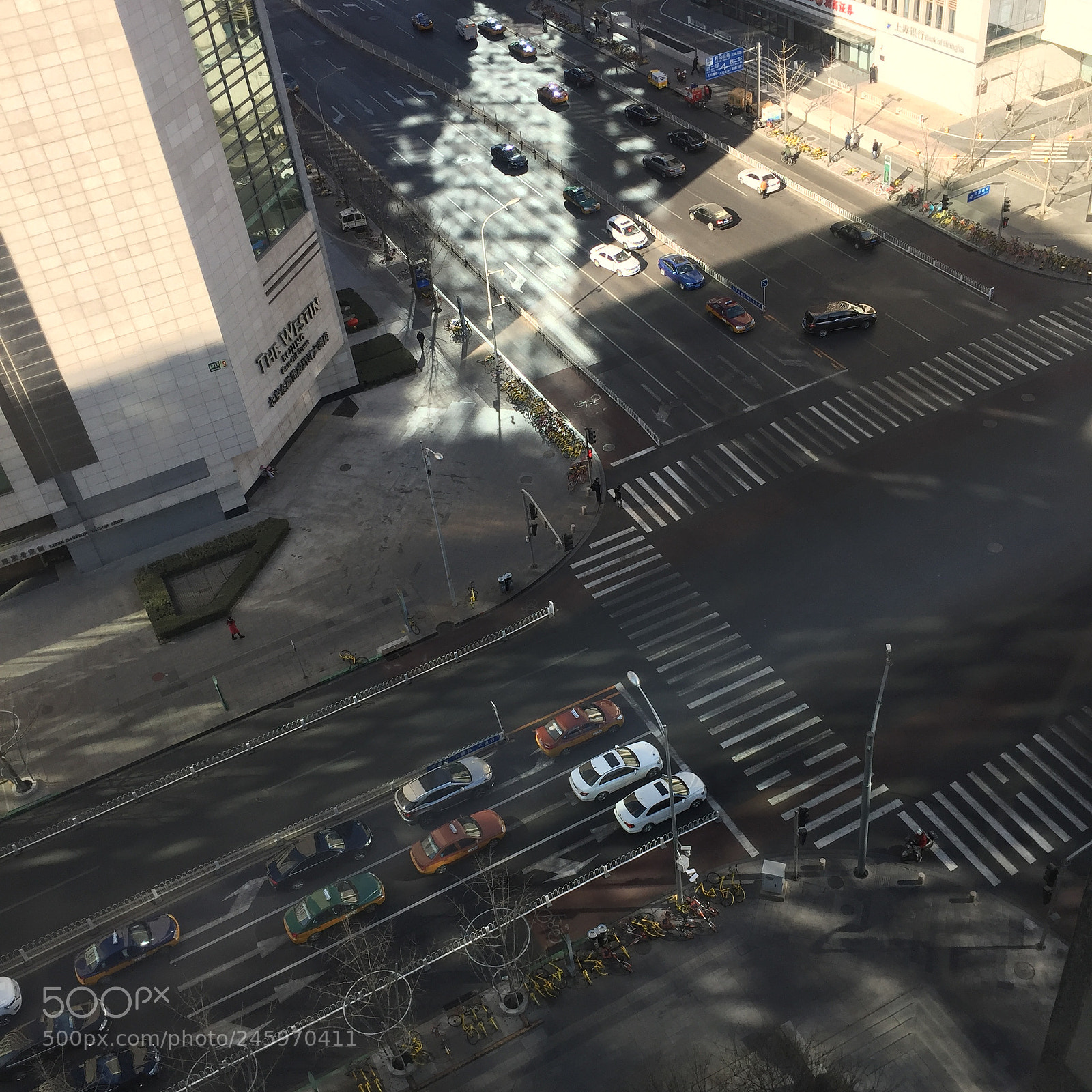 Apple iPhone 6 sample photo. 俯视 photography