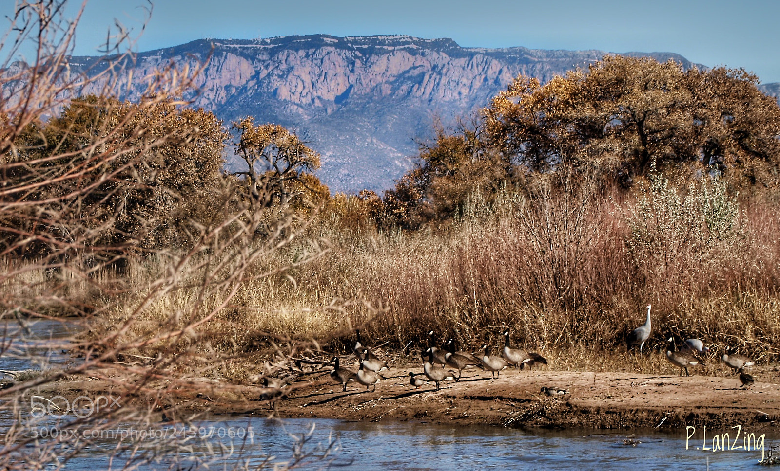 Olympus E-3 sample photo. Along the rio grande photography