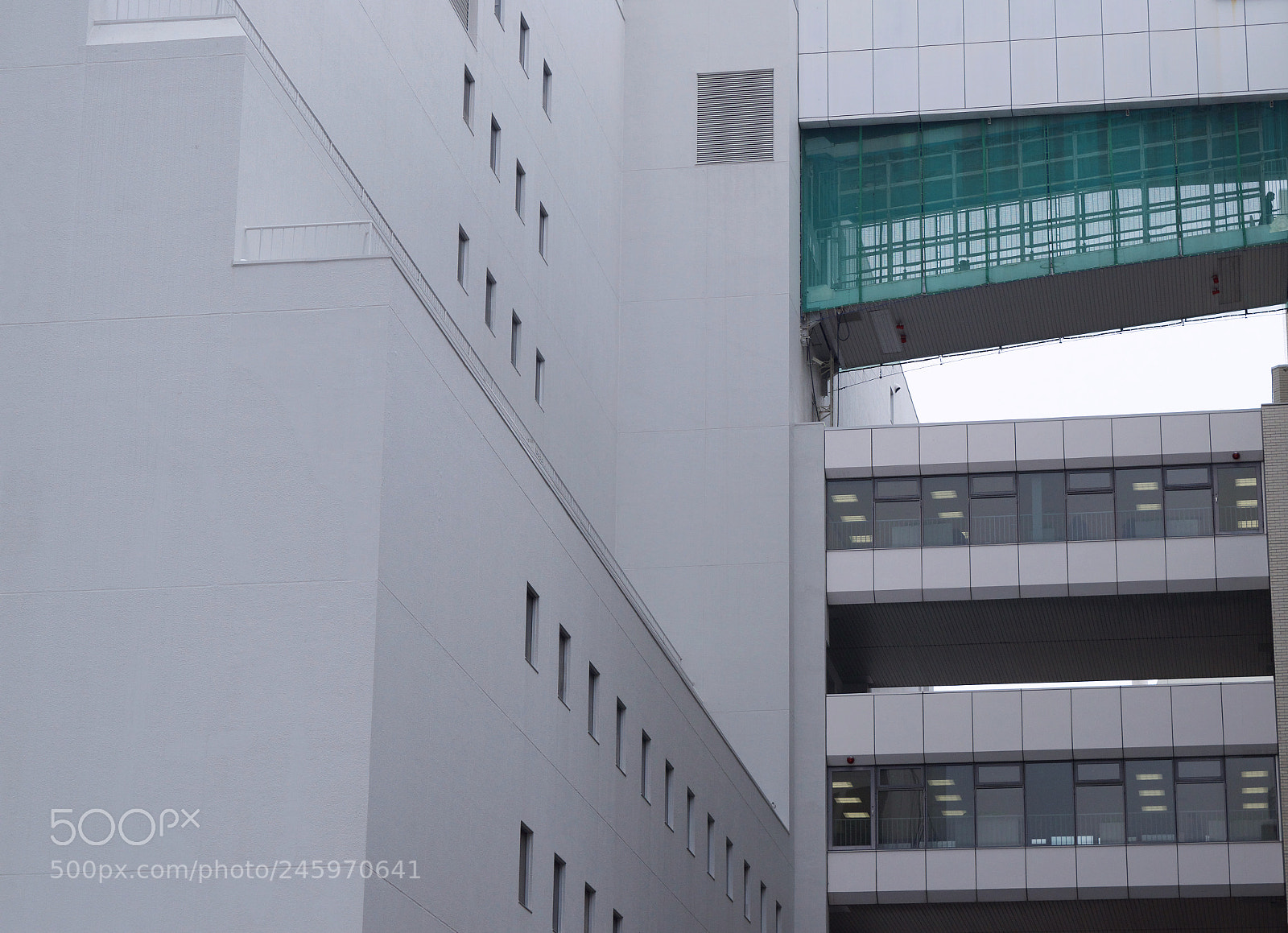Nikon D5500 sample photo. Sapporo city photography