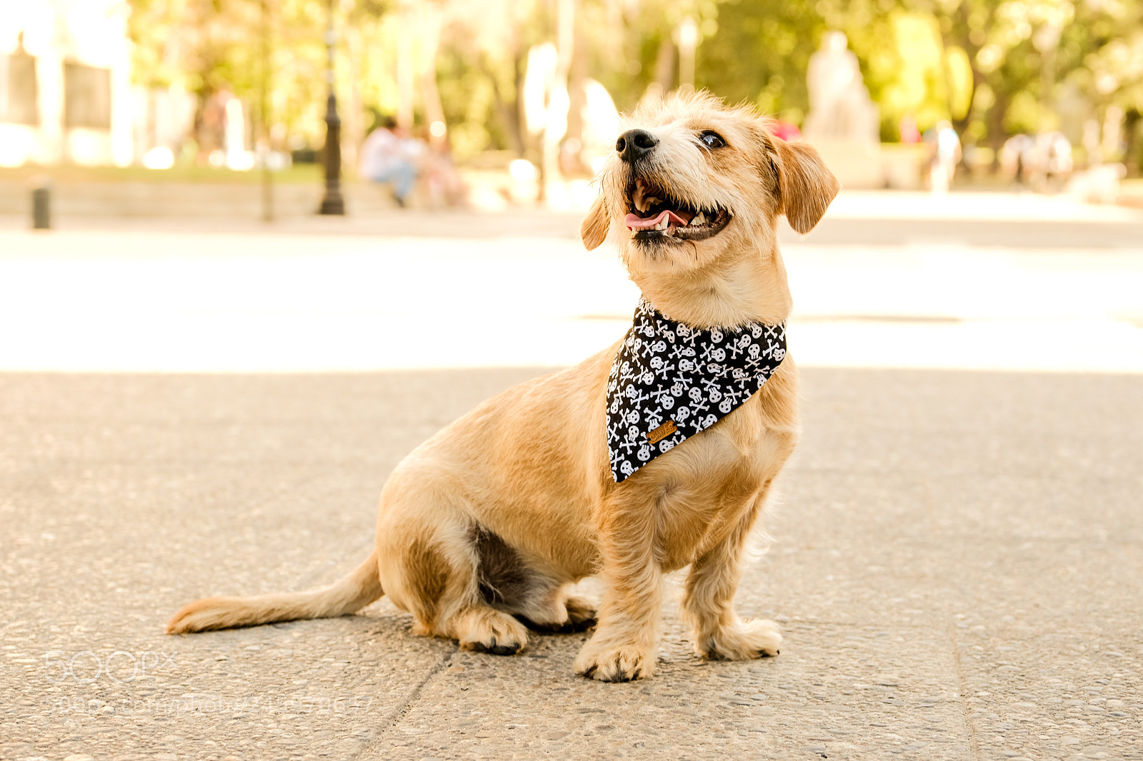 Fujifilm X-T2 sample photo. Jack photography